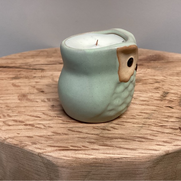 Owl Wood Wick Candle - Repurposed Planter - Gingerbread Vanilla Scent - Unique - Picture 5 of 10